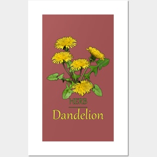 Herb Dandelion-Dandelion-Herb plant -Spring flower -Beautiful Herb flowers Posters and Art